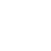 Hi-Point Firearms